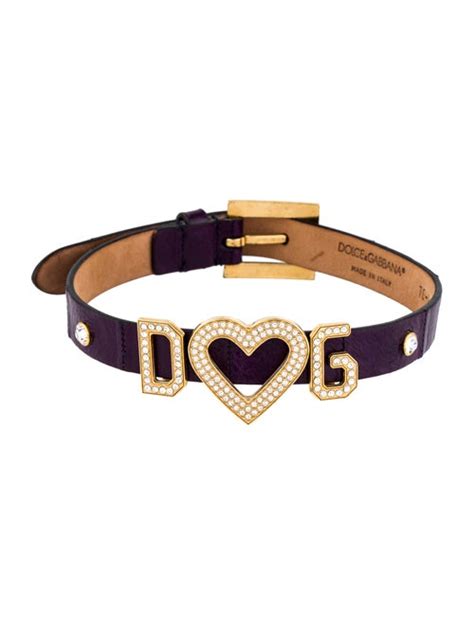 dolce & gabbana dog collar.